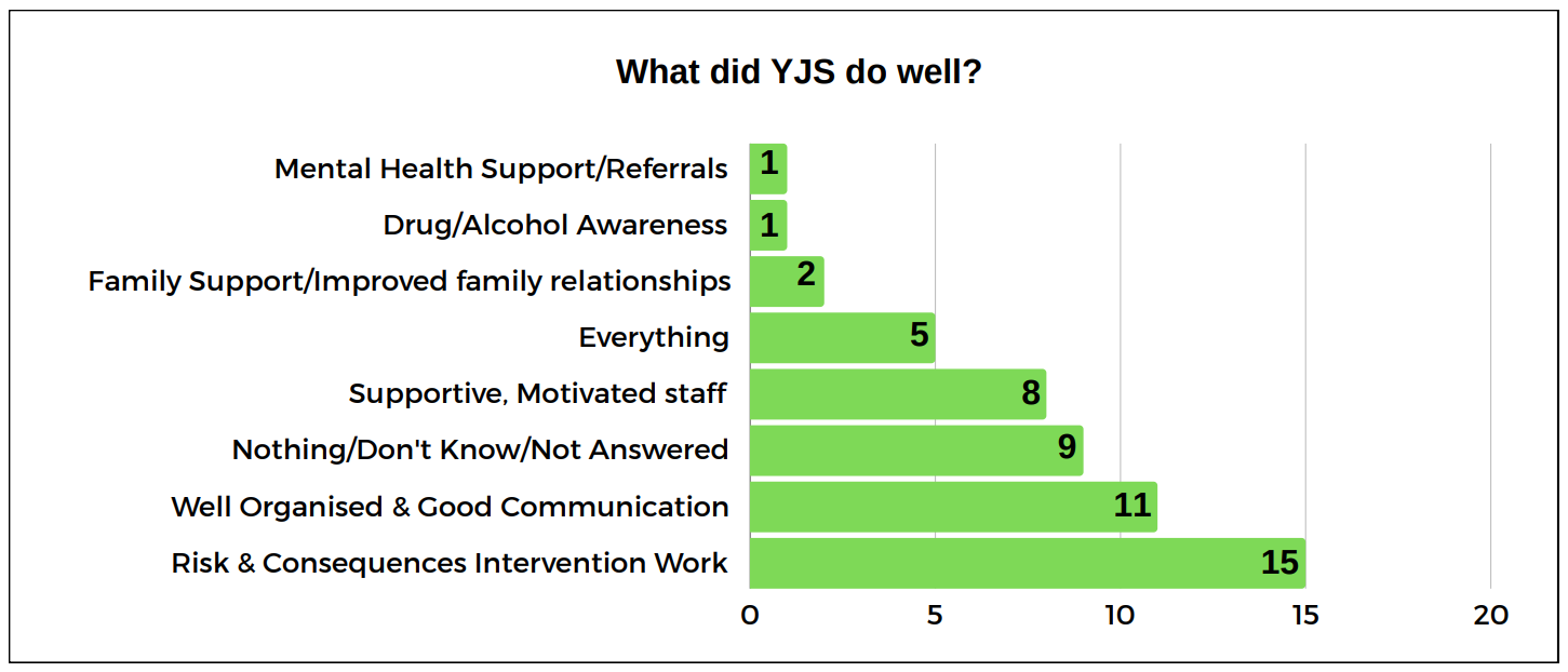Bar chart - what did YJS do well?
