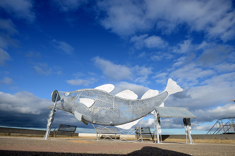 ‘Feed the Fish’ sculpture
