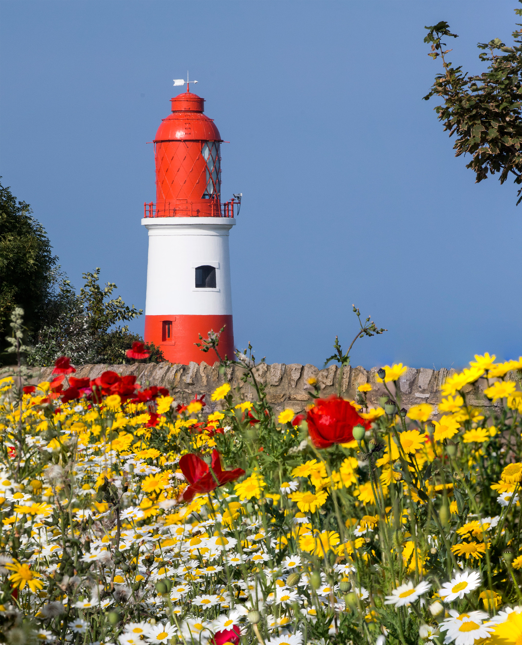 A lighthouse with flowers planted around it