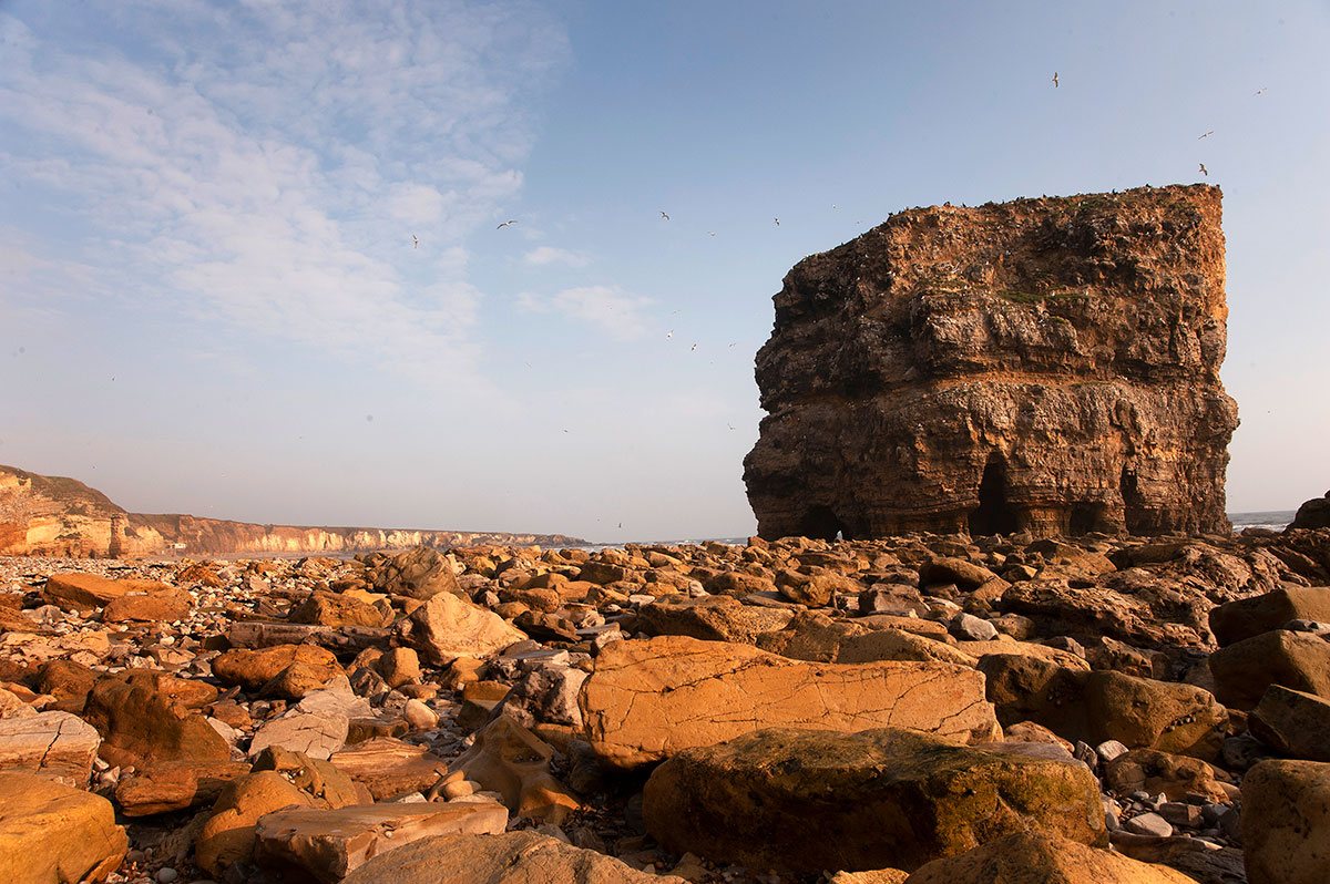 Marsden Rock